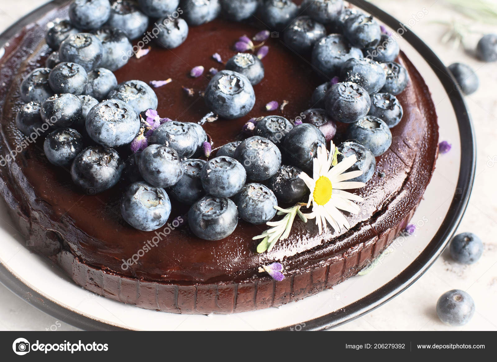 depositphotos_206279392-stock-photo-chocolate-cake-blueberries-sweet-pastry.jpg