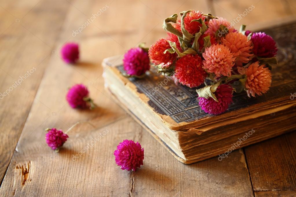 depositphotos_80774340-stock-photo-dry-flowers-and-books.jpg