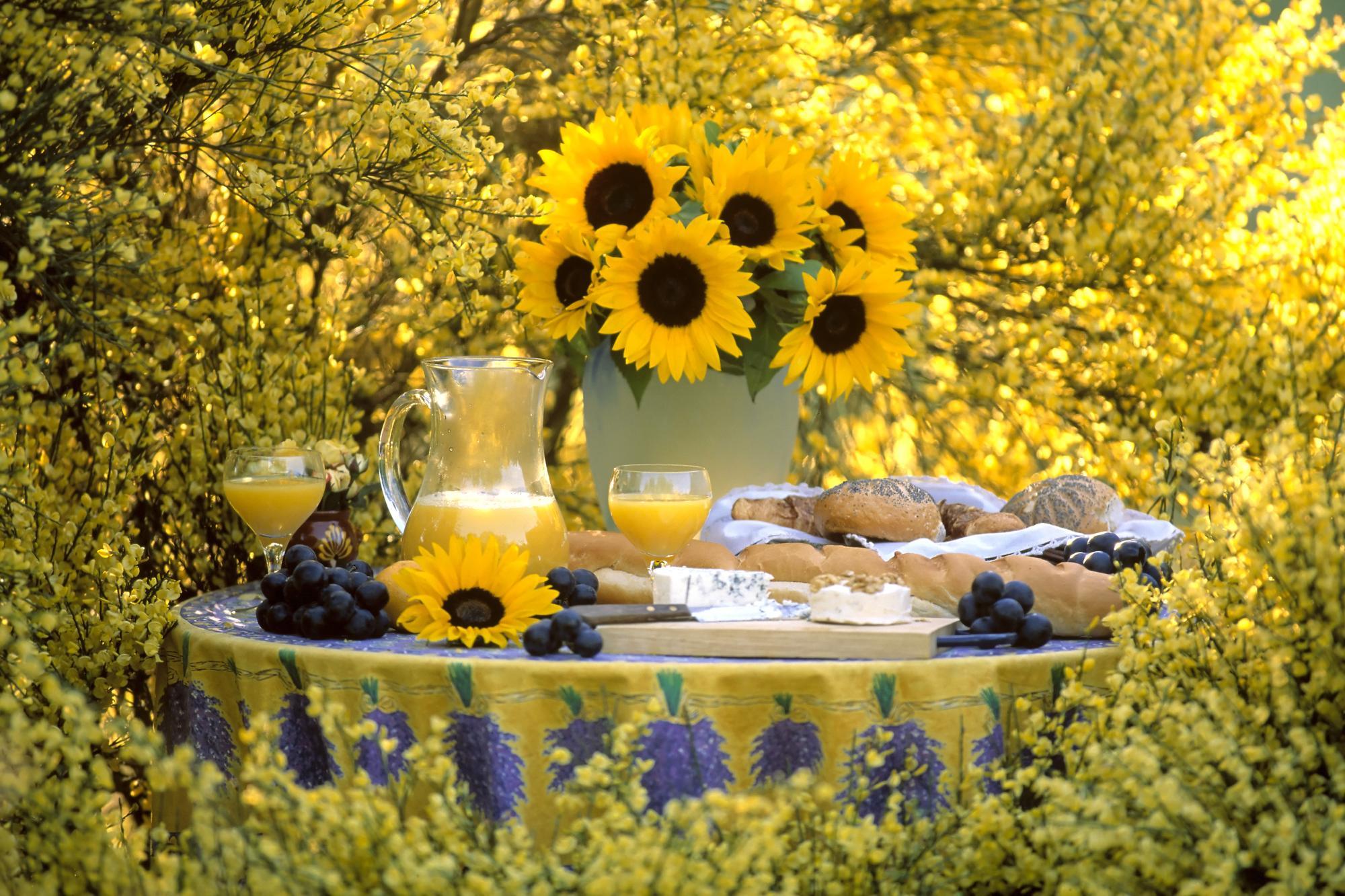 desayuno-con-girasoles.jpg