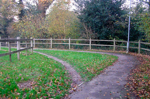 Desire-Lines_Blog.jpg