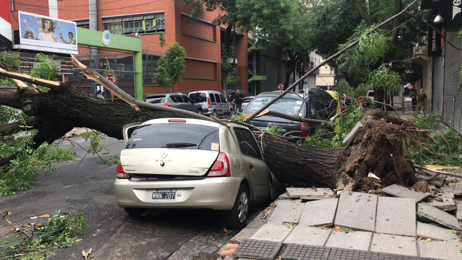 Destrozos-del-temporal-2.jpg