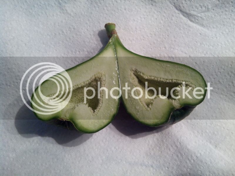 detalle%20cabrahigo_2_zpsj1twajhi.jpg