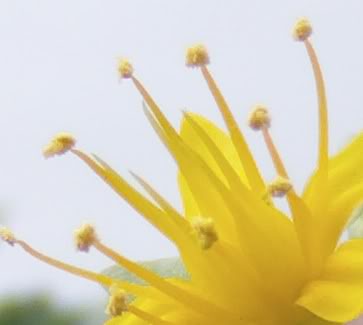 detalle3.jpg