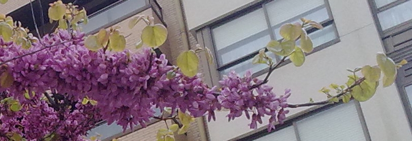 detalle_zpsb36f2339.jpg