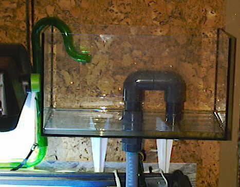 device1.jpg