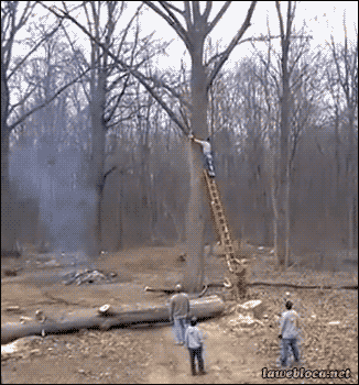 df0ea8e07927dceafdf0f1151994baa4.gif