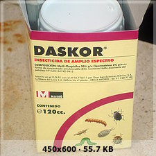 df28c19d6486d08837ef3b3936371223o.jpg