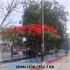 df48fd45057a77a3df04df4b2e255d51o.jpg