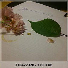 df67070225c035d8b80a692d8c6f09bbo.jpg