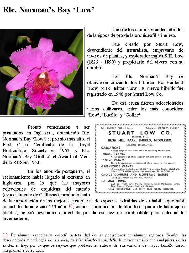 Diapositiva1.jpg
