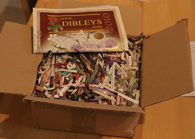 dib01.jpg