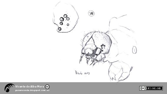 dibujo+gusanil+001e.jpg