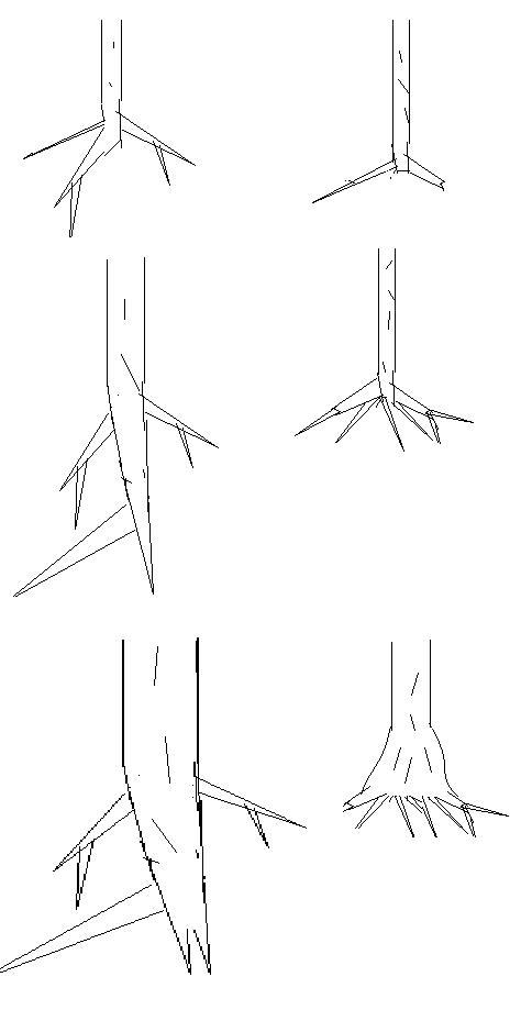 Dibujo.jpg