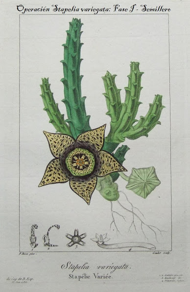 Dibujo.jpg