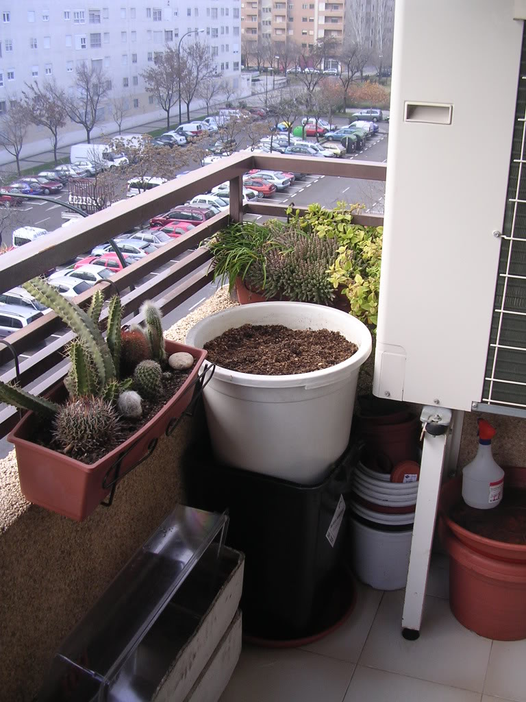 Diciembre08031.jpg