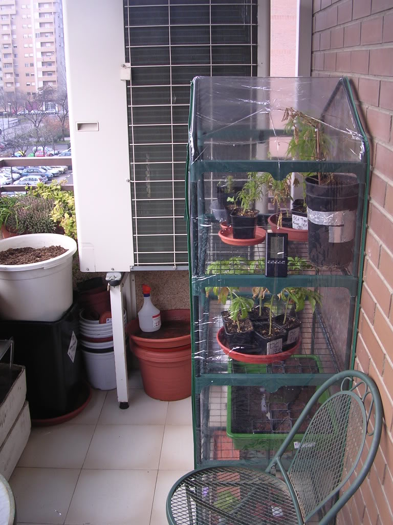 Diciembre08034.jpg