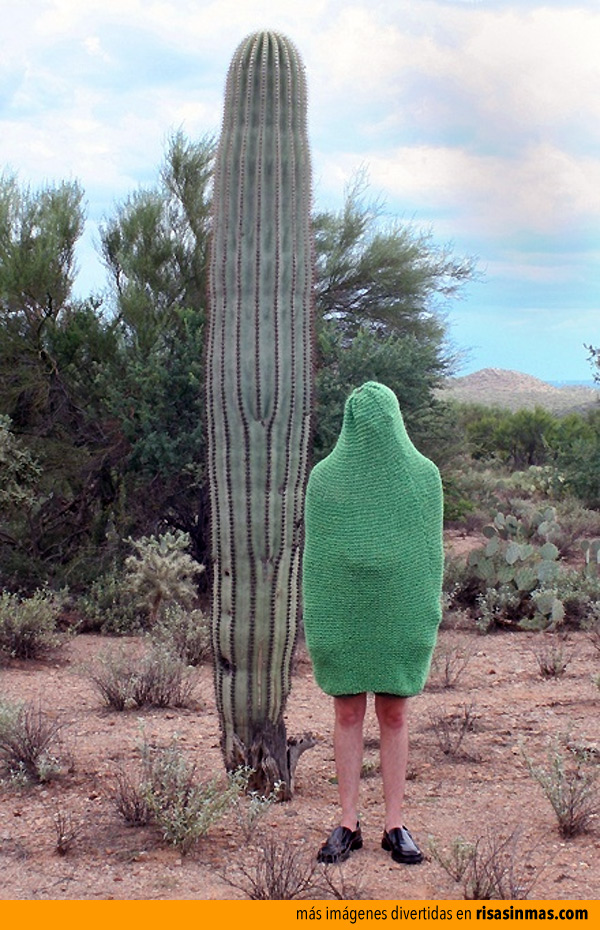 disfraz-cactus.jpg