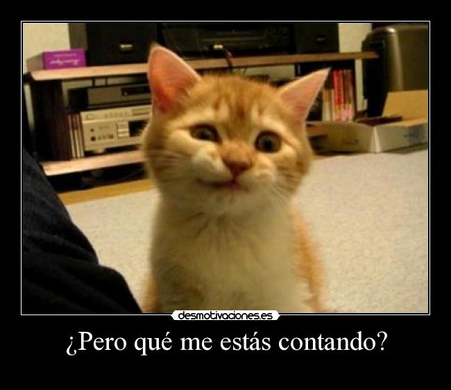disgustedcat_1.jpg