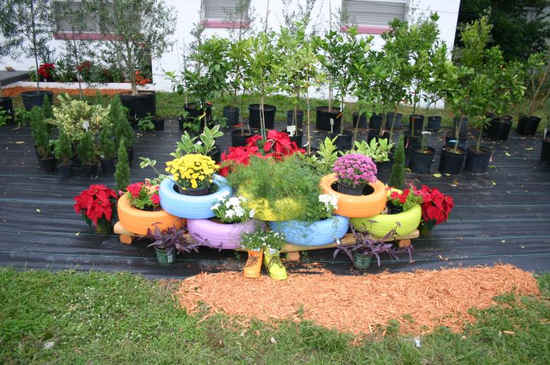 display_painted_tires_with_colorful_plants_11-20-13_img_8547.jpg