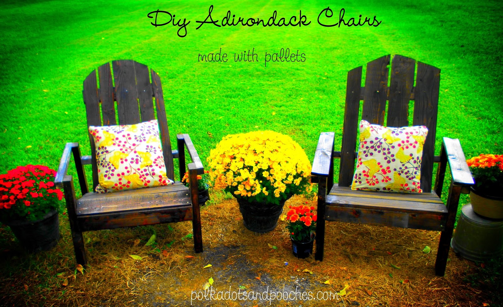 diy+adirondack.jpg
