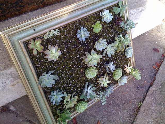 diy-framed-vertical-succulent-garden-2.jpg