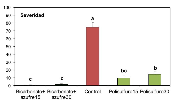 Doc3%20recortada.jpg