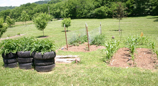 dogs+flowers+garden+060109+011.jpg