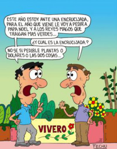 dolaresoplantas211216c.JPG