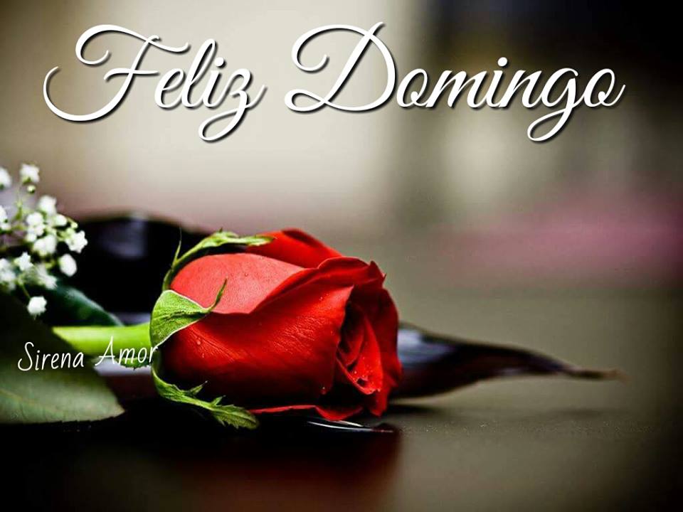 domingo_090.jpg