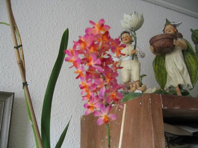doricendrum1.jpg