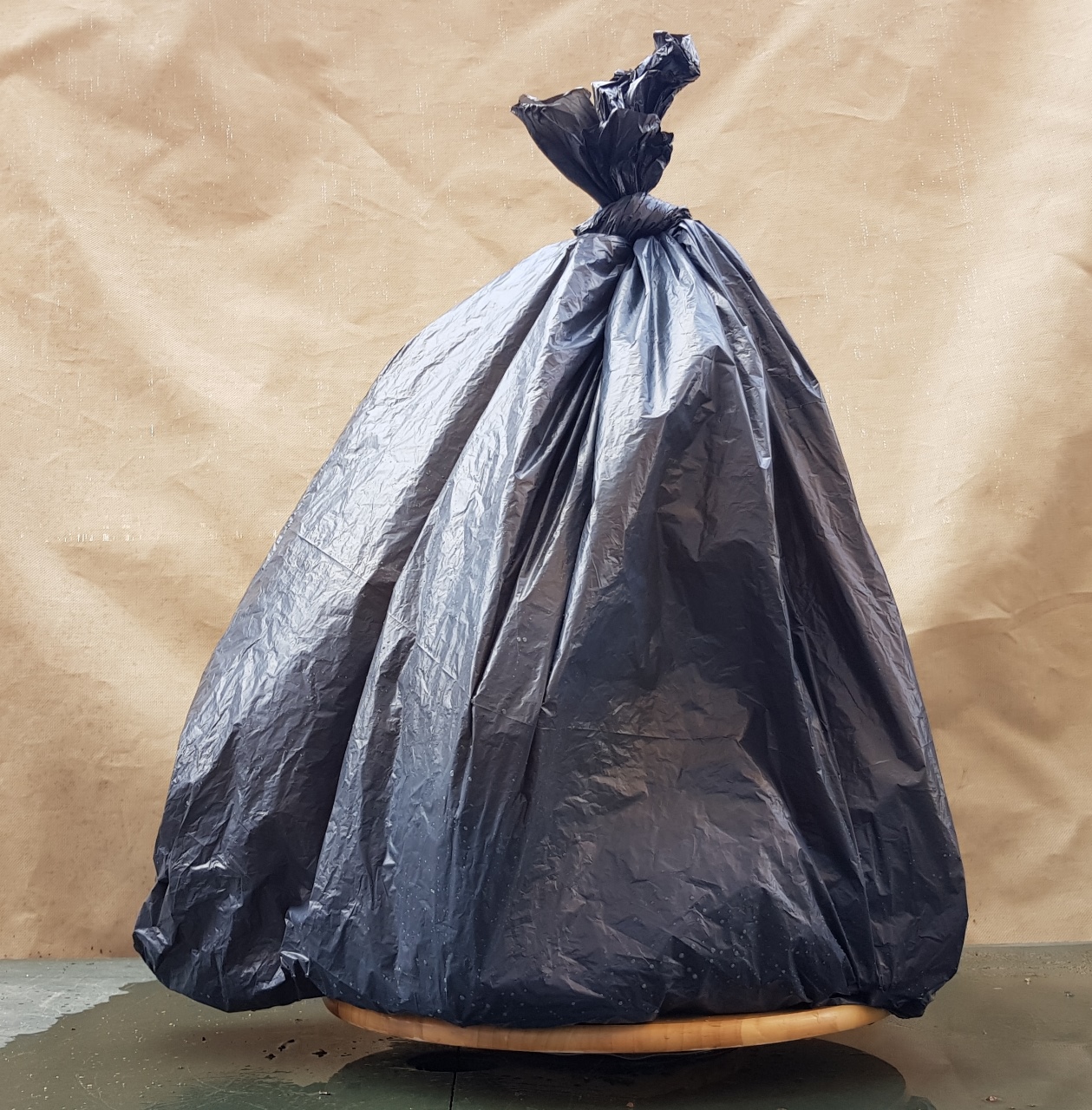 dory33.jpg