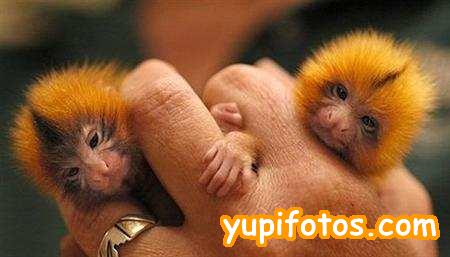 download.php?attachid=4087&id=3818&edit=&action=&useedit=0.jpg