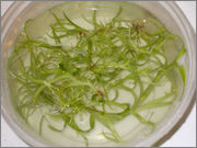 Dpenddeflask5.jpg