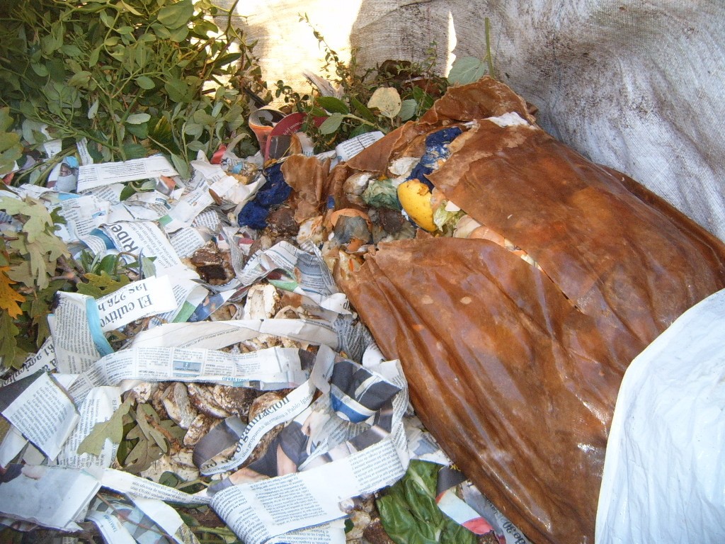 dR4YT6.jpg
