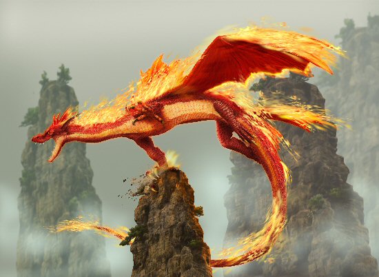 dragon1.jpg