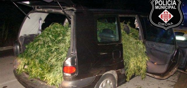 droga-furgoneta-marihuana.jpg