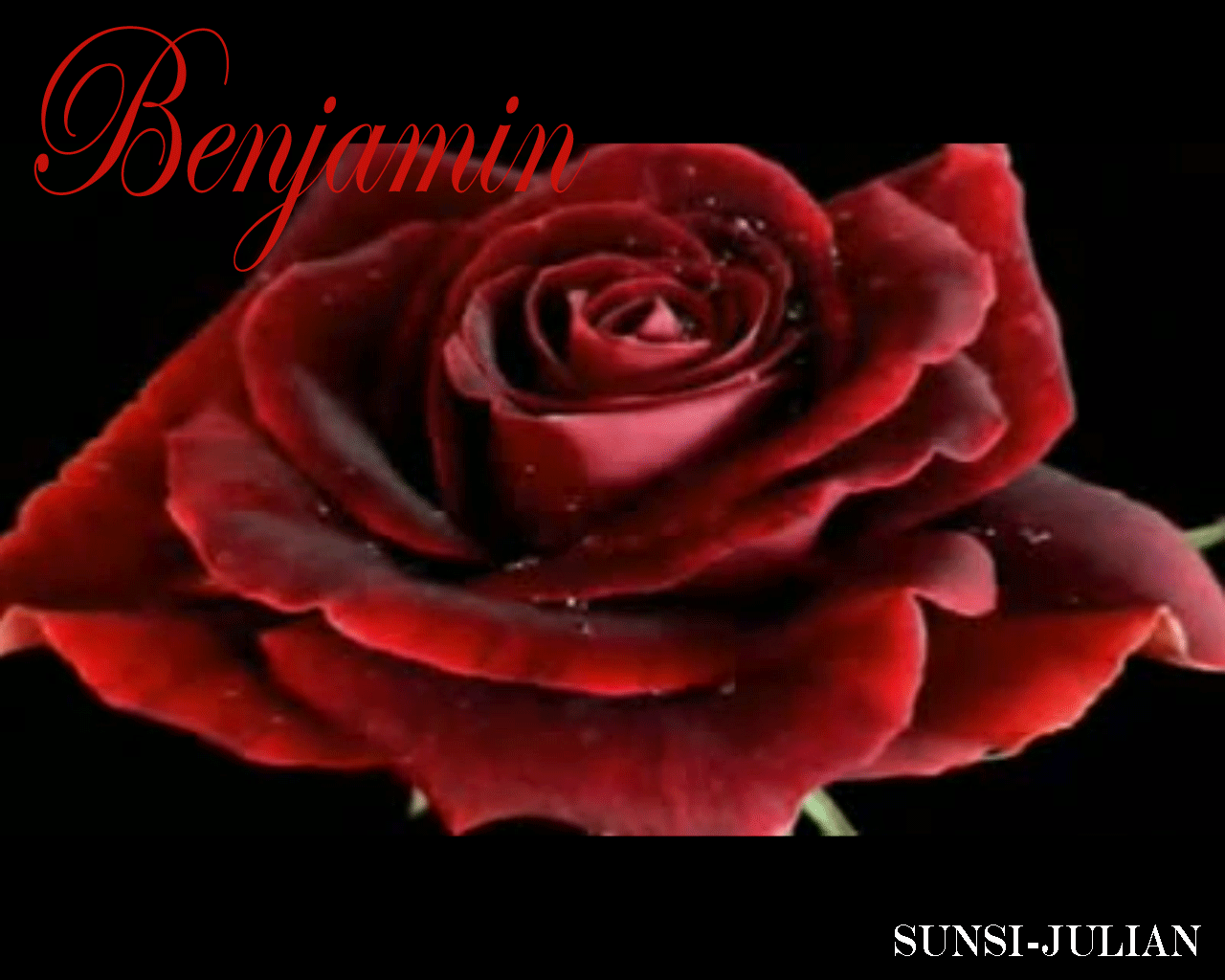 ds7BENJAMINALb.gif