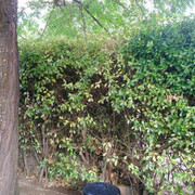 DSC-0058.jpg