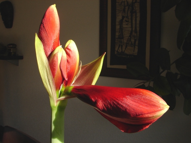 DSC00002.JPG