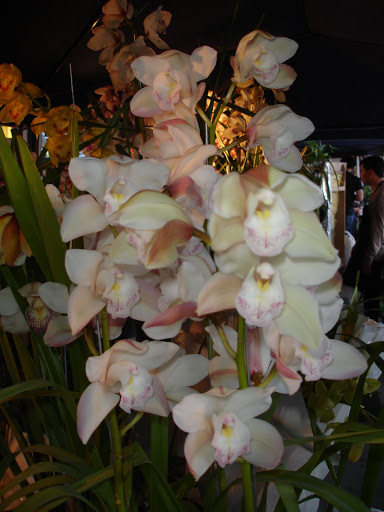 DSC00002.JPG