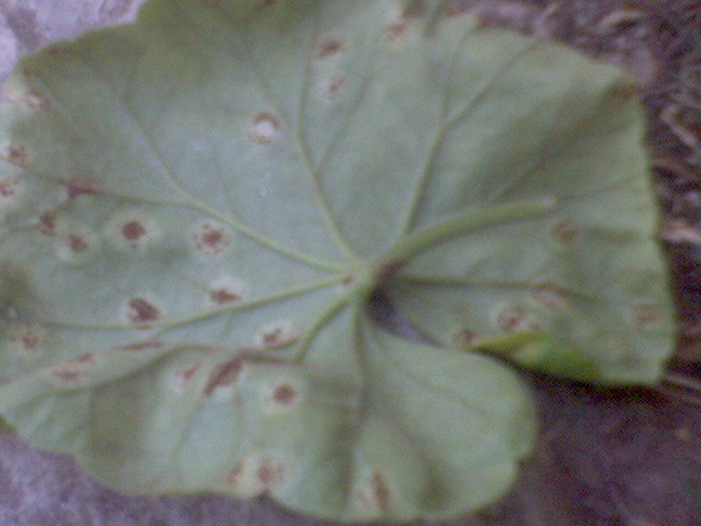 DSC00003.JPG