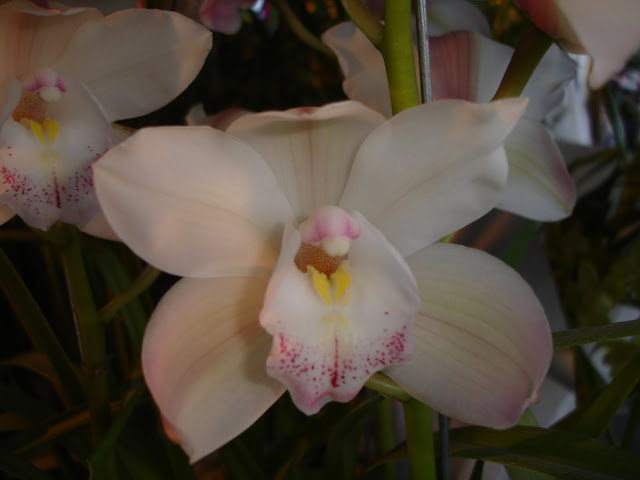 DSC00003.JPG