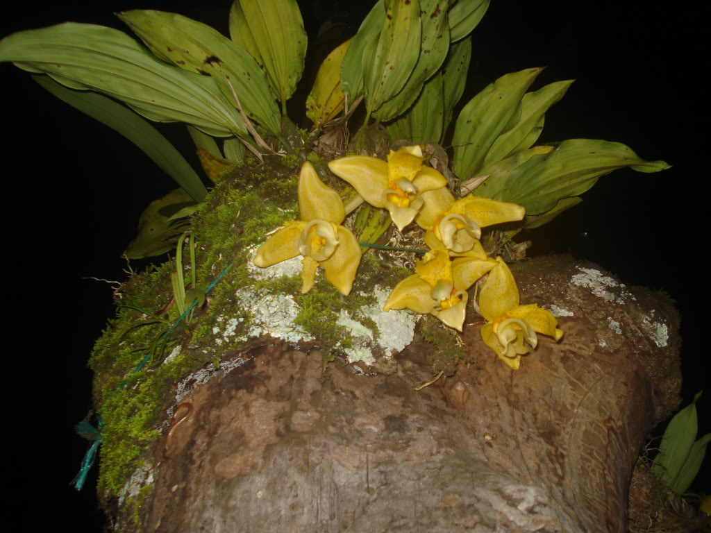 DSC000035.jpg