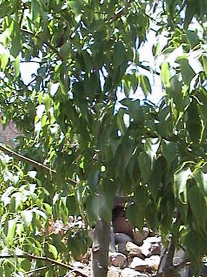 DSC00004.JPG