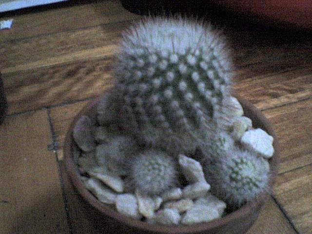 DSC00006.JPG