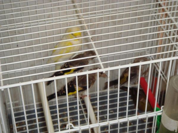 DSC000072.jpg