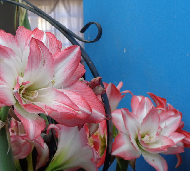 DSC00008.JPG