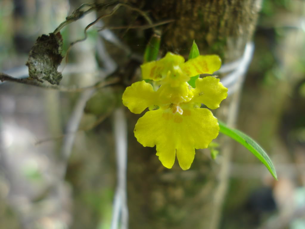 DSC000102.jpg