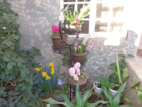 DSC00011.JPG