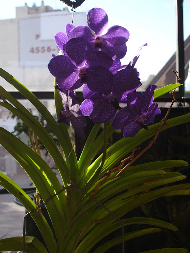 DSC00013.JPG